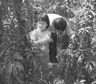 ɽ�����_�hꖰ״壺��á�ѭ�h���� Óؚ�ɘ˗U