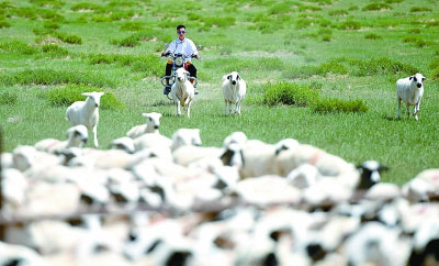 �D(zhu��n)�Ͱl(f��)չ����o���L(f��ng)�ⱼ�v��ȥ