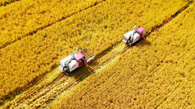 ���I(l��ng)�������̡����I(l��ng)Ⱥ����Ɍ�(sh��)�� �������^�üt�t���