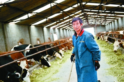 ���I(l��ng)�������̡����I(l��ng)Ⱥ����Ɍ�(sh��)�� �������^�üt�t���