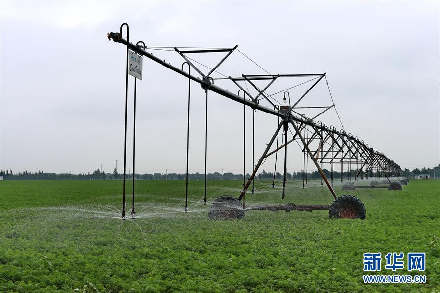 ���Ї�(gu��)��(j��ng)��(j��)�r(sh��)�����D�Ļ���(d��ng)����1����(w��n)������_��ƪ�����h��ʮ�˴��ԁ�(l��i)�҇�(gu��)�����r(n��ng)���l(f��)չ�ɾ;C��