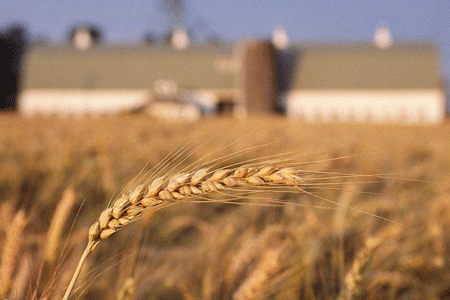 �����ϾW�����x��ʮ�Ŵ󡿌��FС�r���ͬF���r�I�lչ�ЙC㕽�