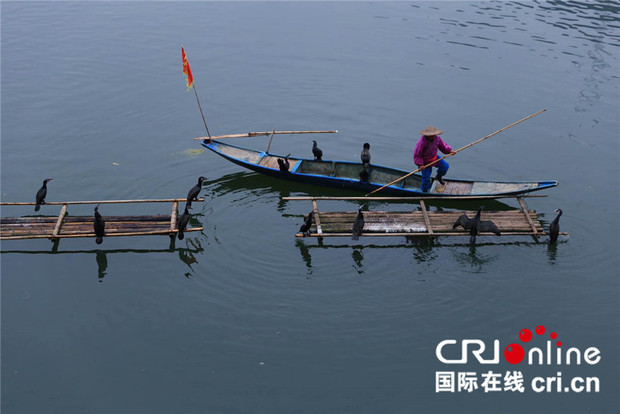 �DƬĬ�J���}_fororder_dddddd