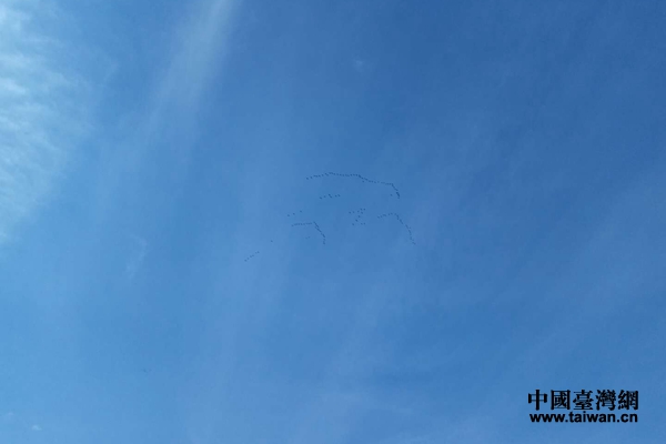 һȺ�����ųɡ��ˡ����Ρ��������ˡ����нM�ɡ��������ڼo���^�Ͽ��w�^��