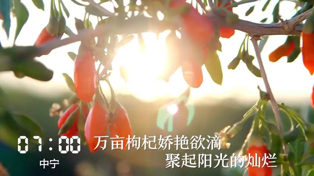 ΢�ňDƬ_20190918064340.png?x-oss-process=style/w10