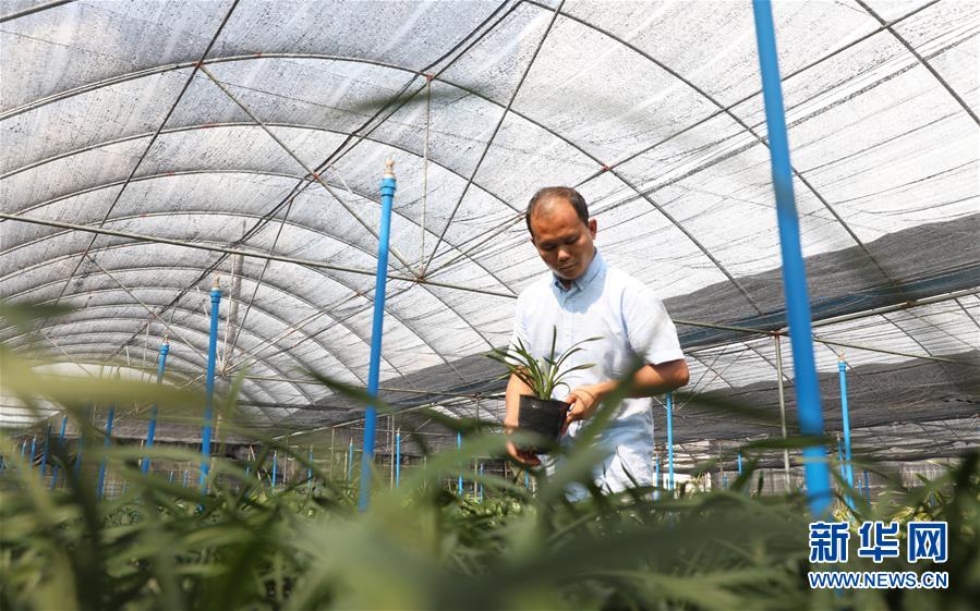 ��������ƽ�r���Ї���ɫ������x˼��ָ���¡����r����������ƪ�¡�����ӛ�P�ĵİ�����߅�¡��D�Ļ��ӣ���4�����Ƽ���š��o��Ұ������ϣ��