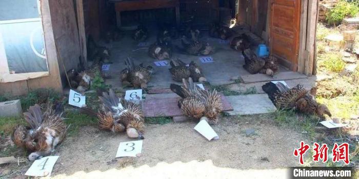 ����������g���ς��kҰ�����ﰸ��2909��