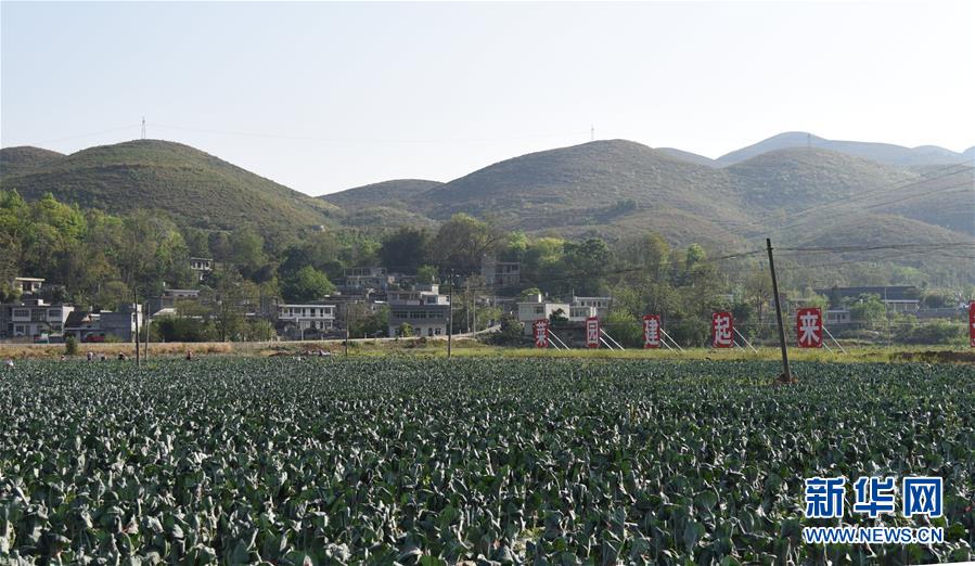 ���Q��Q��Óؚ���ԡ��D�Ļ��ӣ���2���������Ų��a�RÓؚ���ԡ��̰塱�����F����¡�h��ؚһ������Ҋ