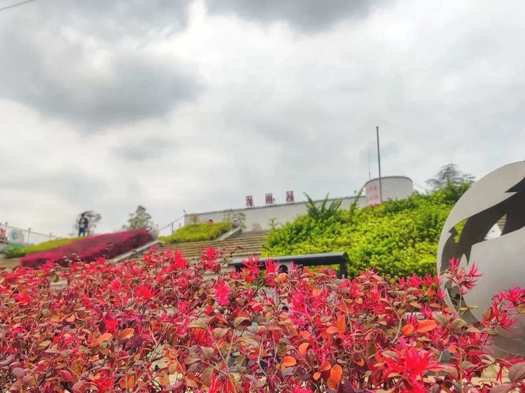 ̽���F·���������̡������l�F�����F·�����ճ��l��