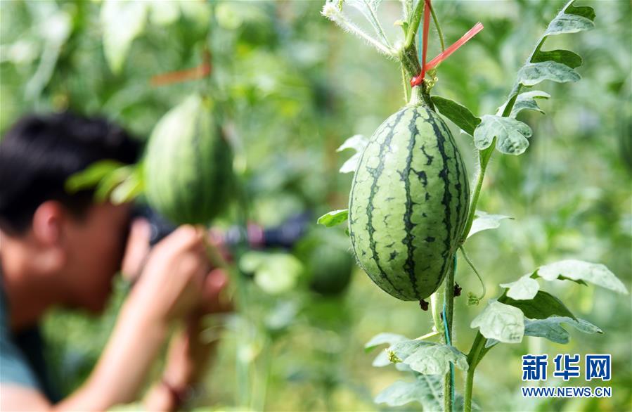 �����Aȫý�^�l�������҂���С������D�Ļ��ӣ���10���Ҹ�С���뮋�������R��������LС���®���