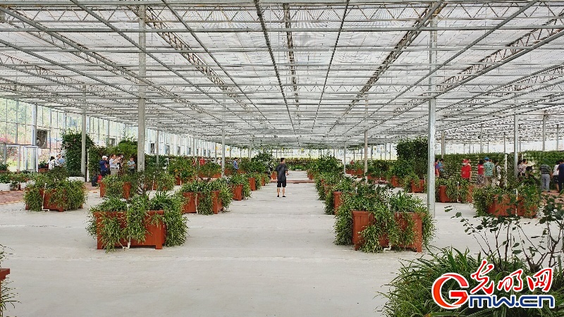 ���l(f��)�F(xi��n)�����F·�������ؾ��a(ch��n)�I(y��)�l(f��)չ ���M���F��Óؚ����ע���»���