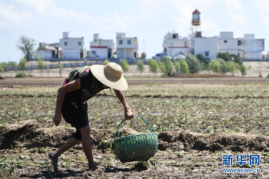 ��������ƽ�r���Ї���ɫ������x˼��ָ���¡����r����������ƪ�¡�����ƽ����ӛ�P���¡��D�Ļ��ӣ���1��һ�О������񡪡�����ȫ����Ѵ�Ȟ�ȡ���A�����ش����֮�r