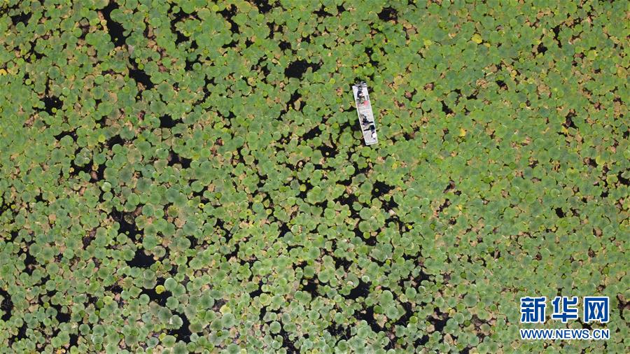 ��������ƽ�r���Ї���ɫ������x˼��ָ���¡����r����������ƪ�¡�����ƽ����ӛ�P���¡��D�Ļ��ӣ���12��һ�О������񡪡�����ȫ����Ѵ�Ȟ�ȡ���A�����ش����֮�r