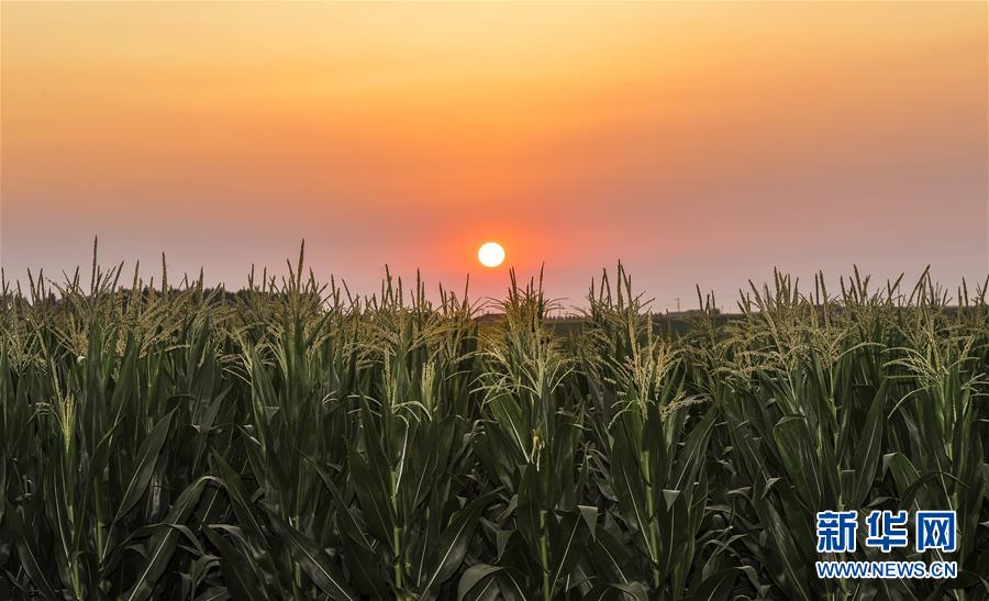 �����Aȫý�^�l���D�Ļ��ӣ���2����F���r�I̽��·�������Լ���������Ұ���