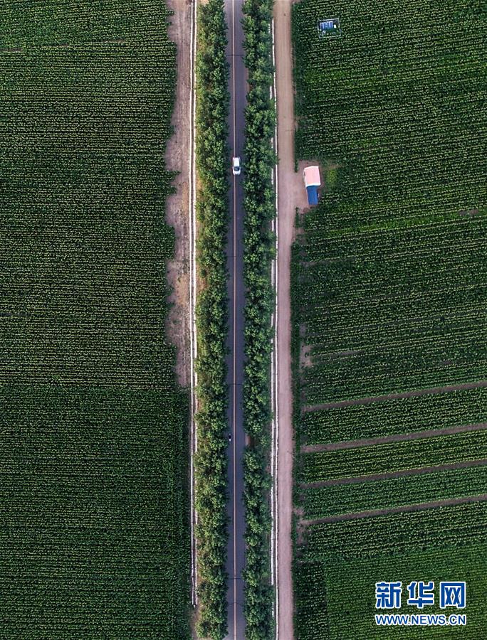 �����Aȫý�^�l���D�Ļ��ӣ���3����F���r�I̽��·�������Լ���������Ұ���