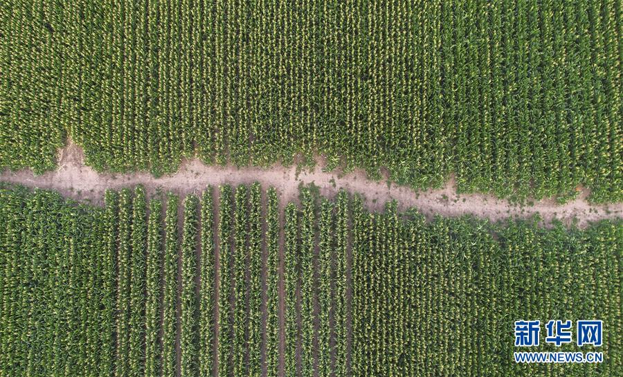 �����Aȫý�^�l���D�Ļ��ӣ���4����F���r�I̽��·�������Լ���������Ұ���