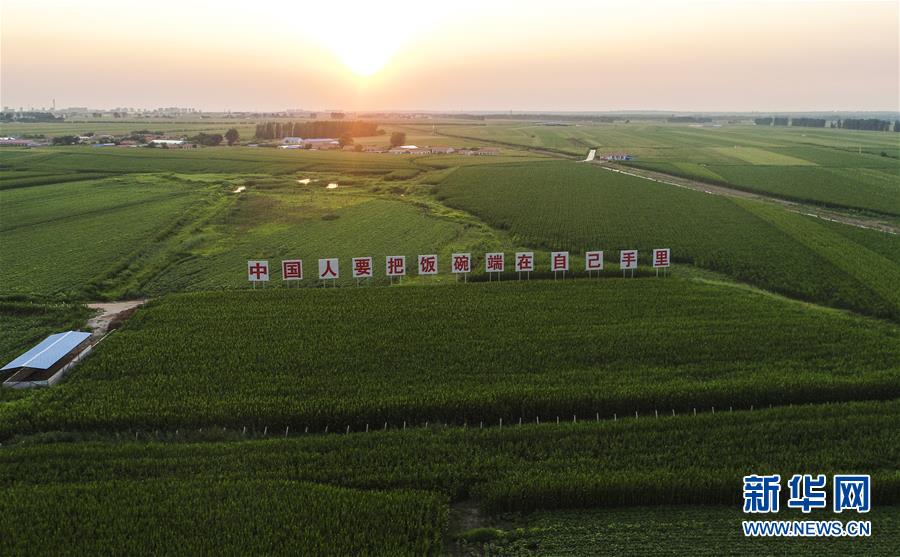 �����Aȫý�^�l���D�Ļ��ӣ���6����F���r�I̽��·�������Լ���������Ұ���