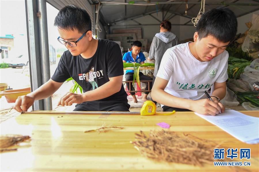 �����Aȫý�^�l���D�Ļ��ӣ���8����F���r�I̽��·�������Լ���������Ұ���