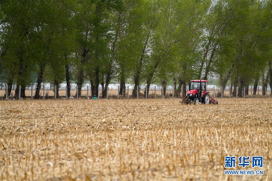 �����Aȫý�^�l���D�Ļ��ӣ���9����F���r�I̽��·�������Լ���������Ұ���