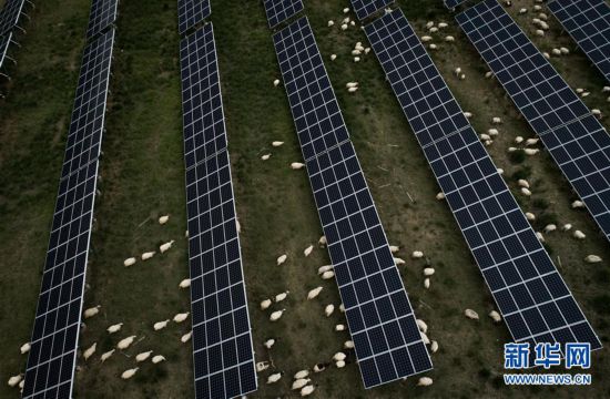 �����Aȫý�^�l�������҂���С������Q��(zh��n)�Q��Óؚ���ԡ��D�Ļ��ӣ���3����ԭ�Ͼ`�ŵĹ�â���������ຣ�������ؚ�������Ĺ���