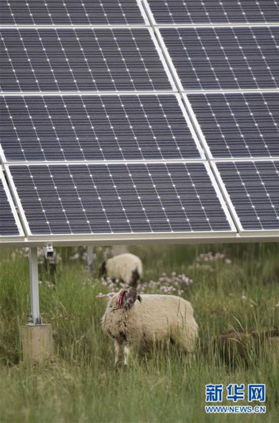 �����Aȫý�^�l�������҂���С������Q��(zh��n)�Q��Óؚ���ԡ��D�Ļ��ӣ���5����ԭ�Ͼ`�ŵĹ�â���������ຣ�������ؚ�������Ĺ���