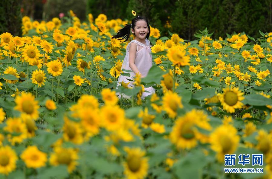 (新華全媒頭條·圖文互動)(3)“雙節”喜相逢 一樣家國情——全國各地歡度國慶中秋佳節掃描