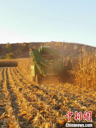 �����P�I�ں�����1.7�|Ԫ���b�ի@�C�����w���w�}��