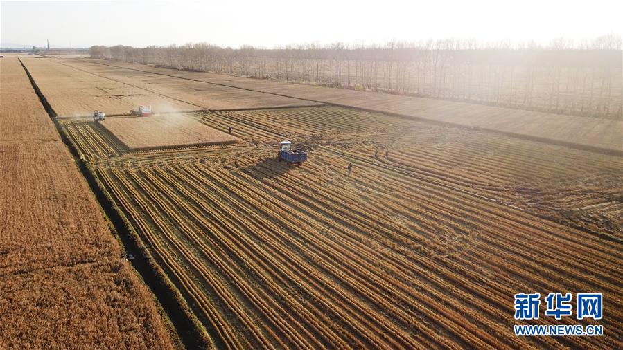 ����������1��������}������æ