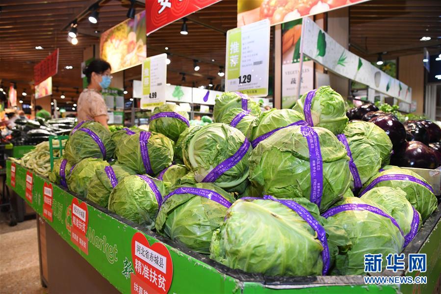 �����Aȫý�^�l������ȫ�������ڻ��ӡ��D�Ļ��ӣ���10������ȥ���򼽿����fͬ�lչ����