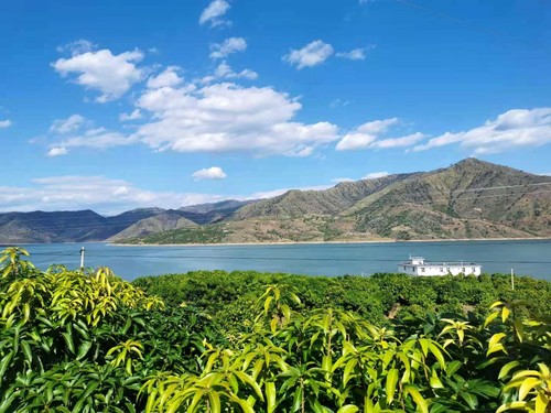 �Aƺ����(n��i)��â���Nֲ�@�^(q��)���������f(xi��)�W(w��ng)ӛ�� ����(qi��ng) �z