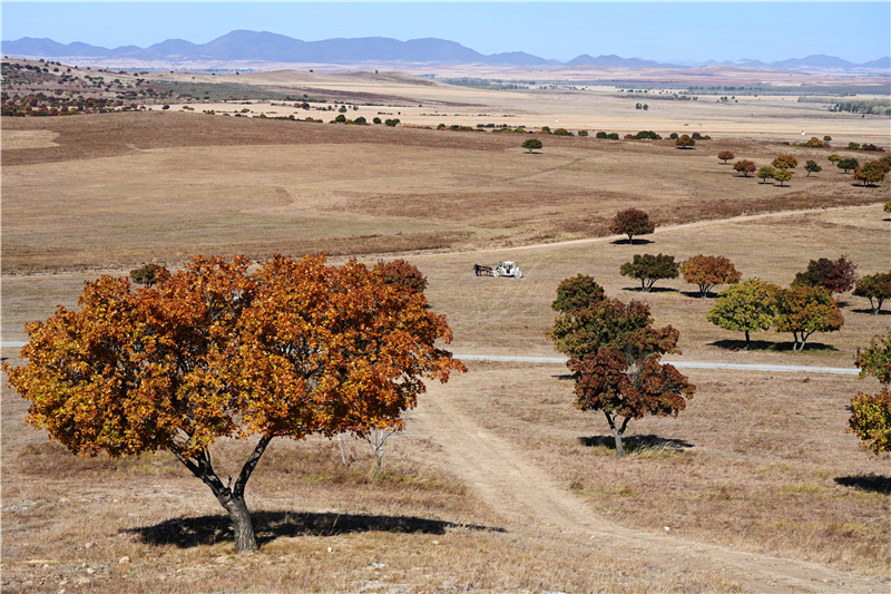 �҇����������؅^��ò ë��܊/�z