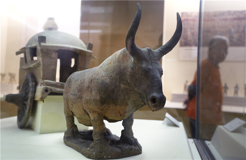 �����ı�κ��ţ܇