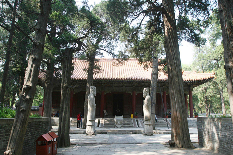 λ��ɽ�|�����Ŀ���