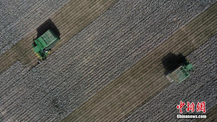 大型采棉機正在采收棉花。確·胡熱 攝