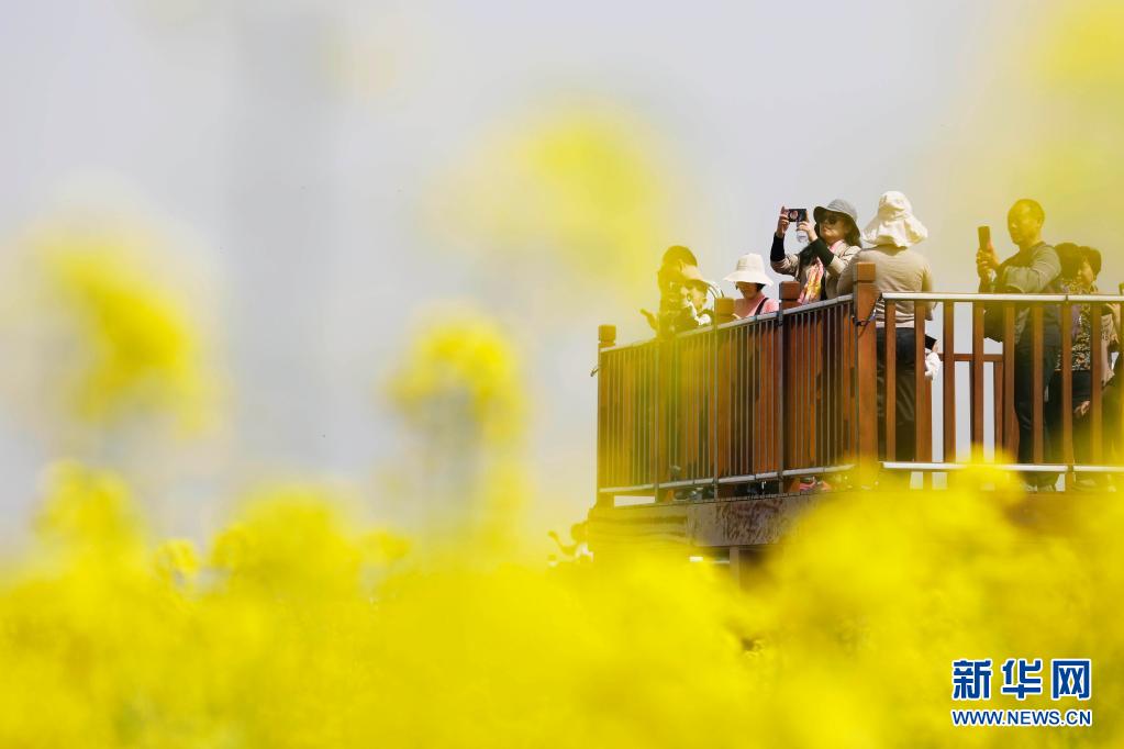 ���ό��S�������p������ �����l�����d