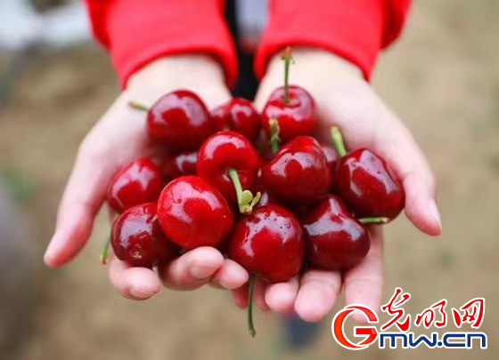 �����@���x������ʹ�������W�jý�w�����υ^�С��Ӱ����L��ʢ��F���r�Iʾ���@����������¸�·