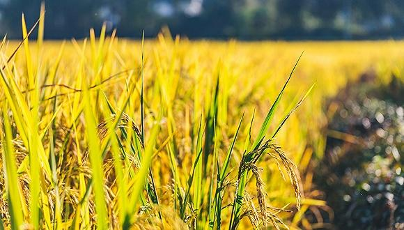 沿著高速看中國丨每一眼,都是絕美畫面