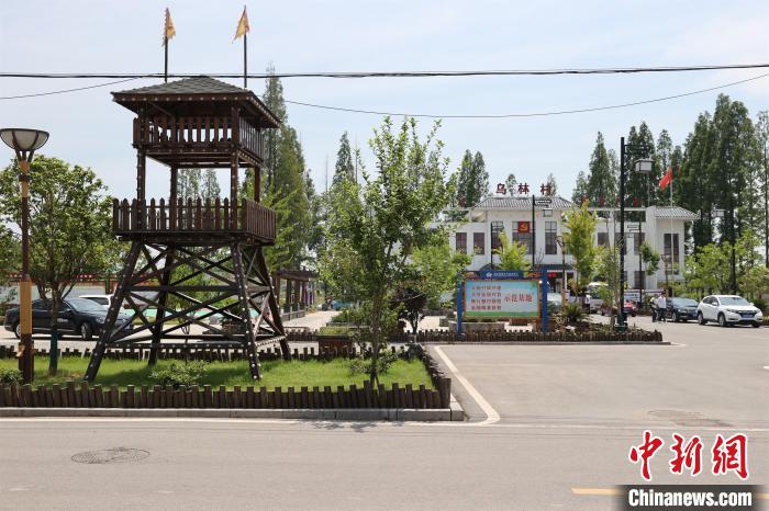 �D������(zh��n)�h(hu��n)���Ƀ����� ���� �z