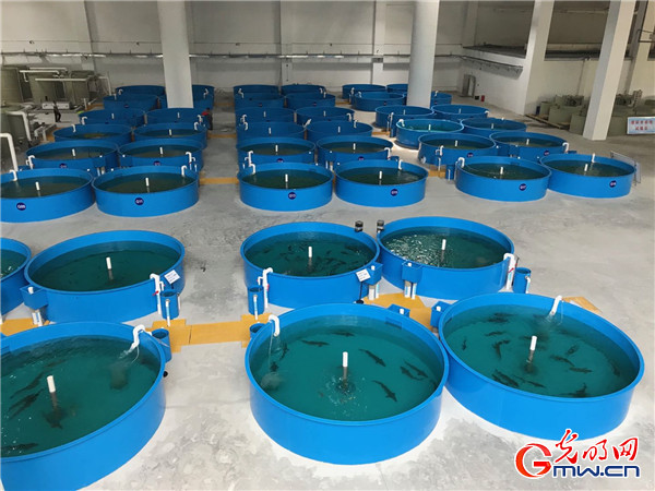 �������Ј� ���|���lչ�����󡿰l����������������棬�в������D�Ͱlչ�M�Еr