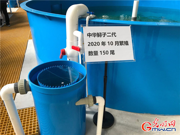 �������Ј� ���|���lչ�����󡿰l����������������棬�в������D�Ͱlչ�M�Еr