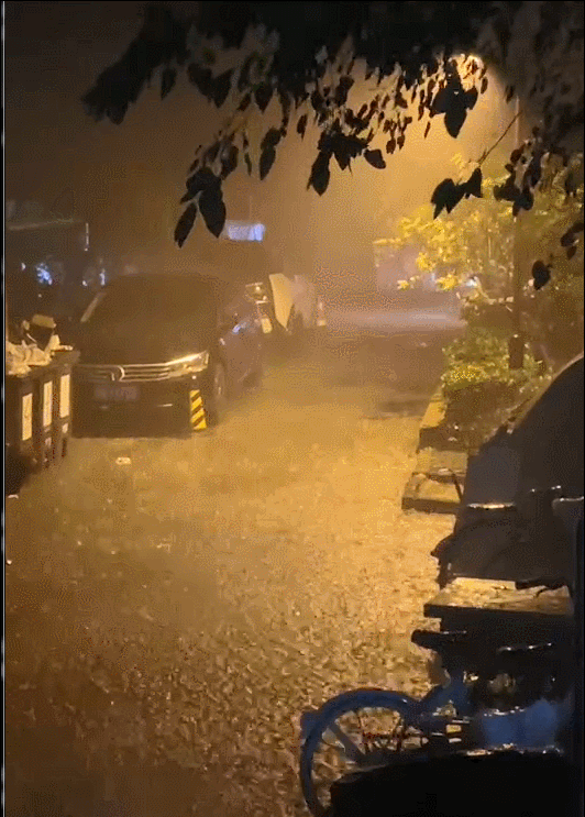 12���賿�����������Ĕz��