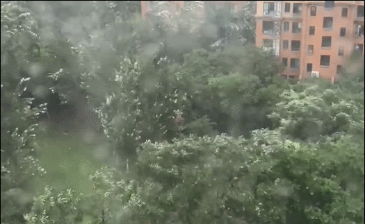 12��6�r45�֣����������Ĕz�ķ�ɽ�^�L�悡�