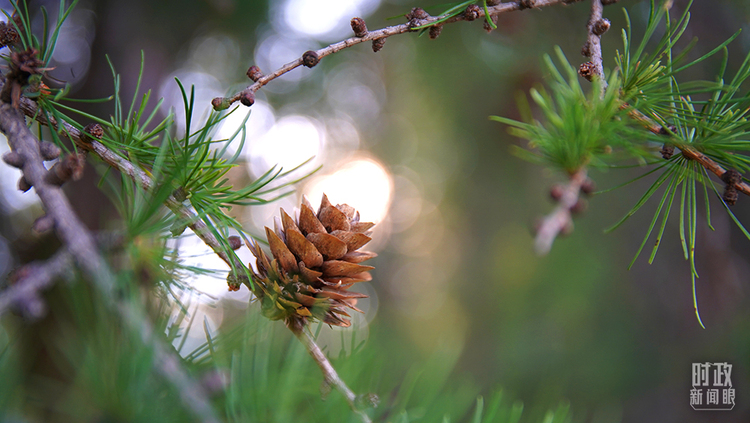 �r������ح����ƽ����е£��@�ľ�Ԓ��������