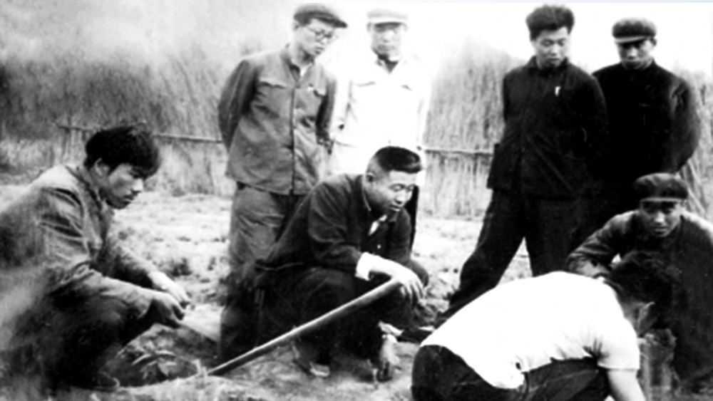 ���к�������������һ���о����ּ��g���}�����Y�ψD��