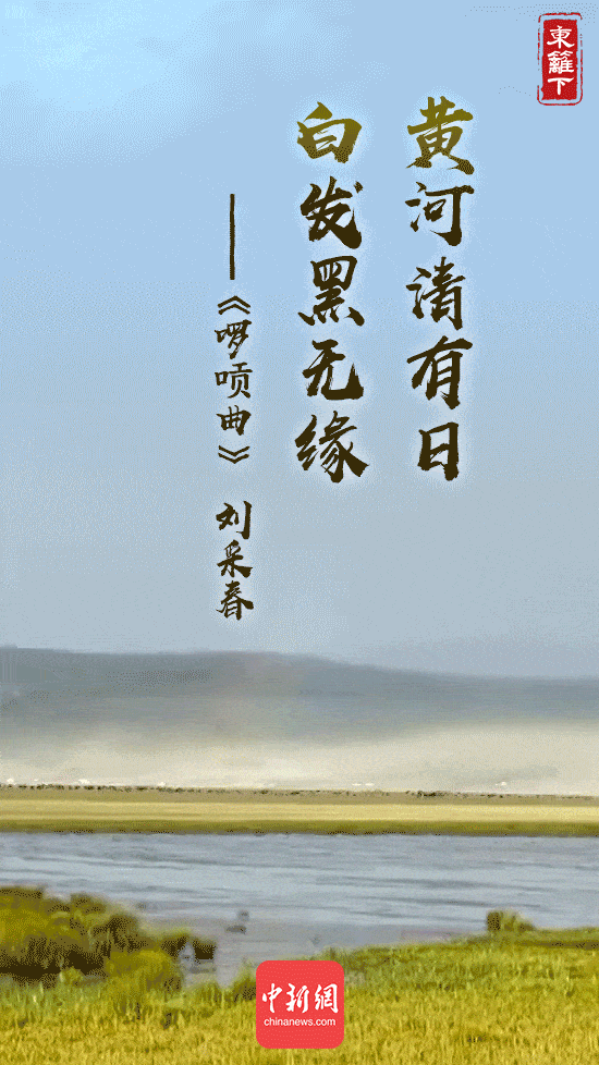 ��ĸ�H���ϵ��Ї�����Щ����ֲ�҂�ӛ���е�Ԋ�~����S�ӡ���