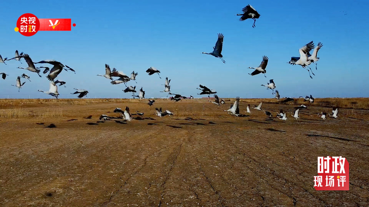 �r���F���uح���S����ӛ���_�� ���뺣�ڿ�����S�ӵľG�c�H��