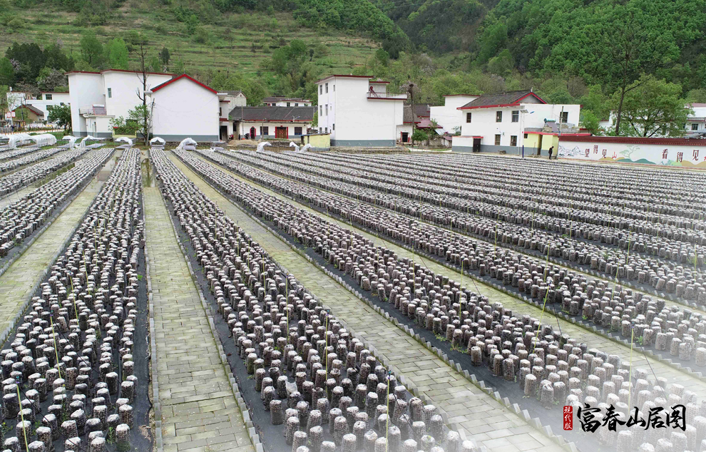 �@��2020��4��21���Ĕz����ˮ�hС�X悽��״�ĵ���ľ�����o�˙C��Ƭ����