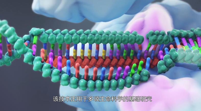 ������۵ć�֮����10����ҕ�lح����݋�ľ��ʡ�������