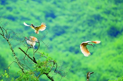 ����؈��(gu��)�ҹ��@�c������ϡҰ����(d��ng)ֲ���������