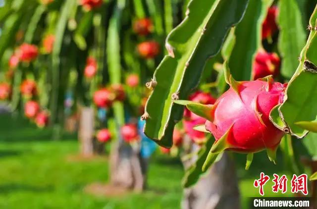 �����l�ɹ��l���Ї��Ϸ�ˮ�������½����F��������